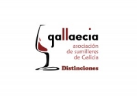 DISTINCIONES GALLAECIA 2013